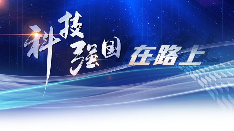 成都数字化供应商安装服务
